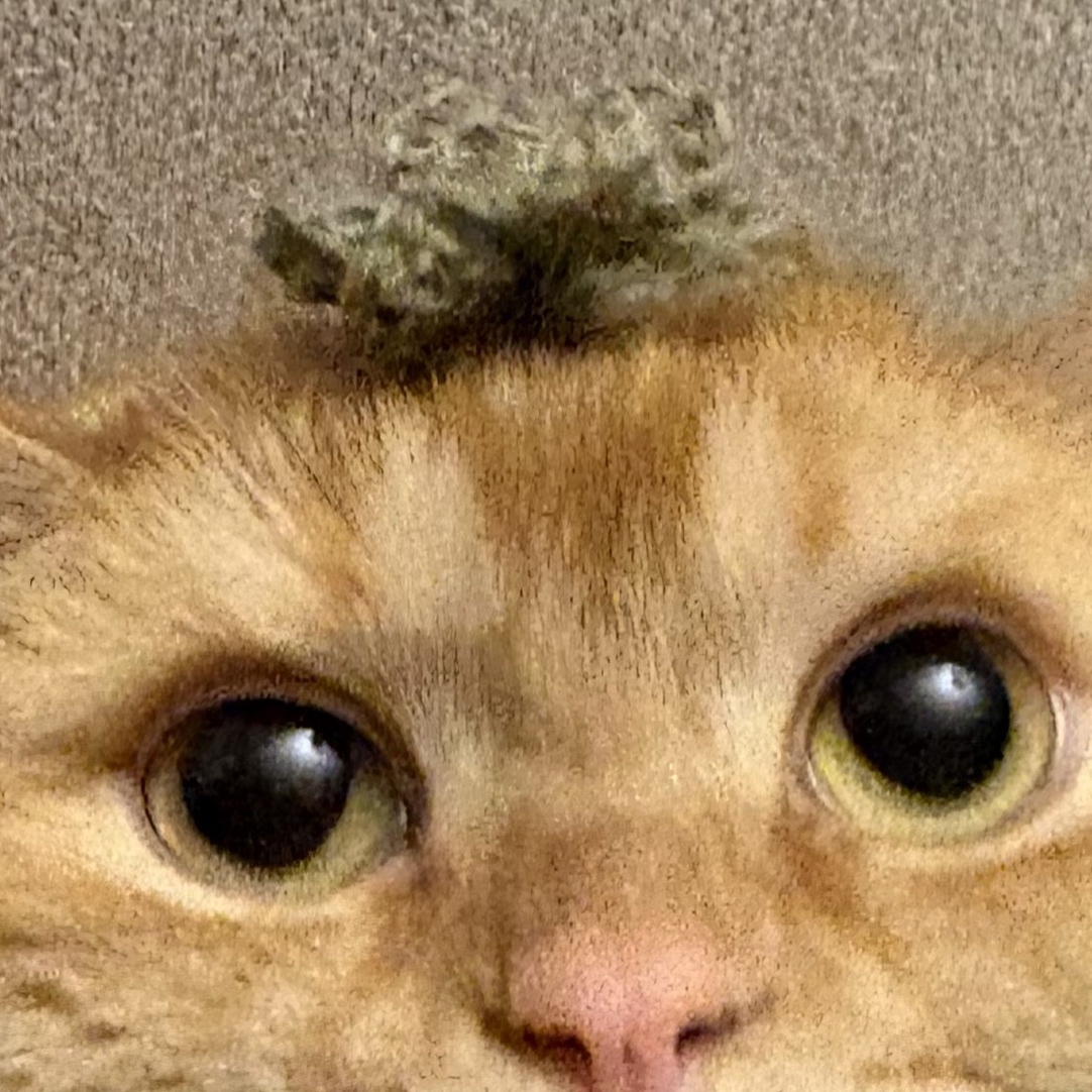 Avatar of peanut